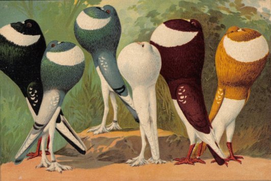 il_fullxfull.325192679